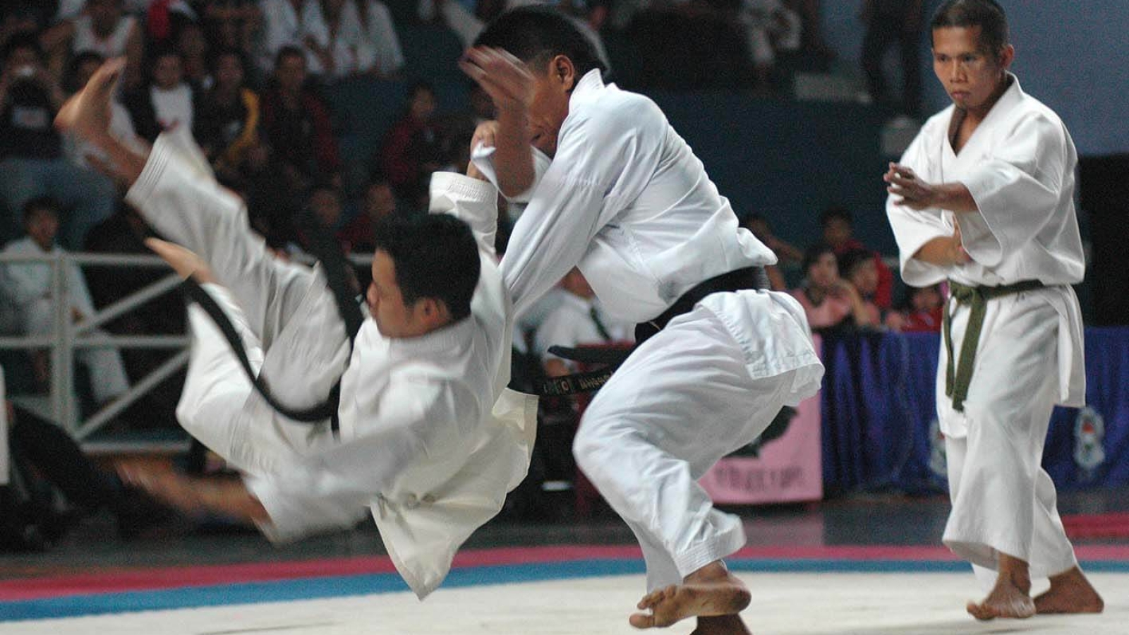 karate-021
