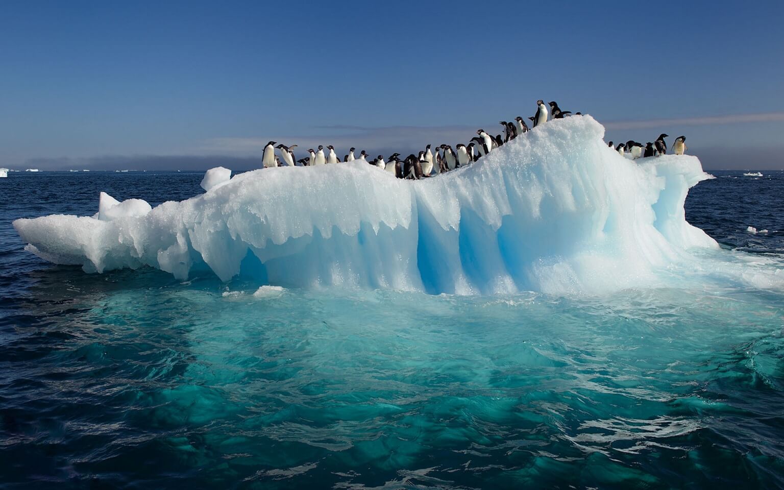 antarctica-ocean-ice-penguins-water-nature