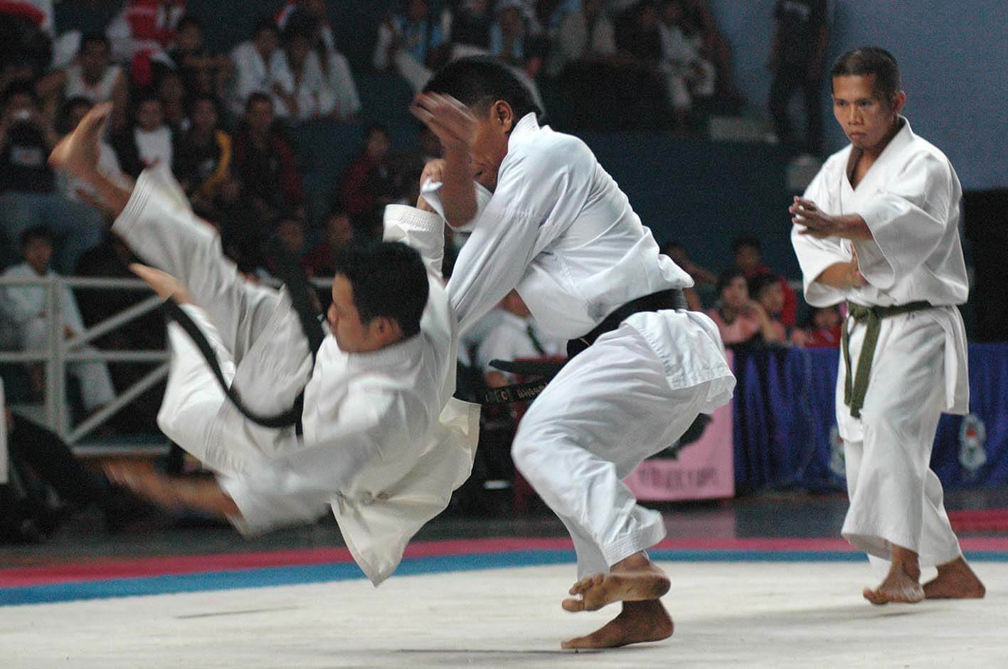 karate-021