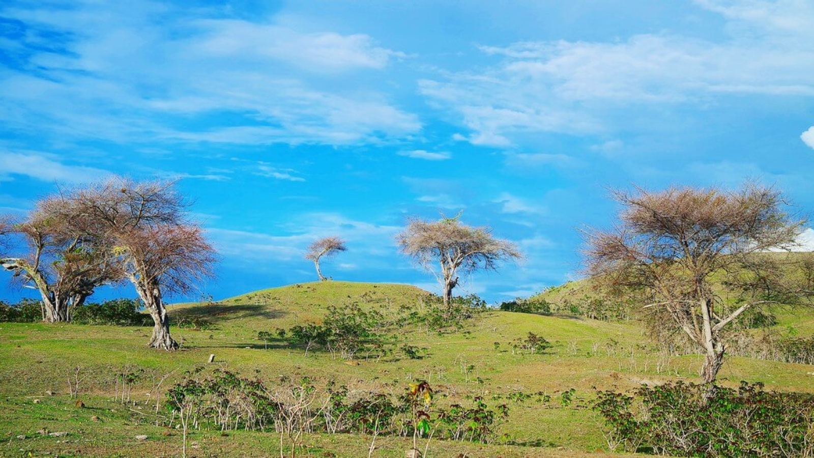 SAMSUNG CAMERA PICTURES