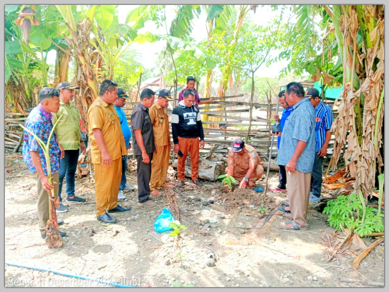 Camat Rote Timur Meliand E.I. Bulan,SH melakukan penanaman pohon dalam kegiatan Aksi Tanam Pohon Serentak disaksikan para Kepala Desa dan Lurah.