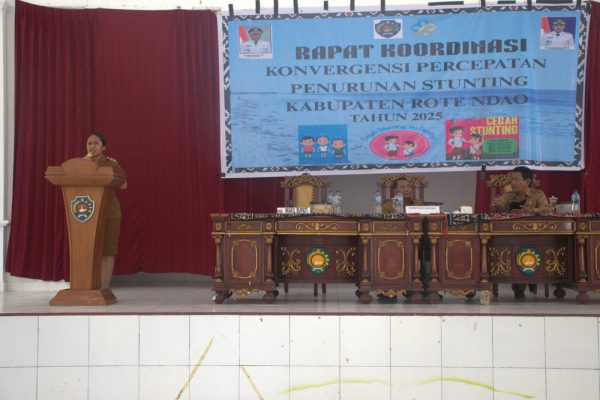 Wakil Bupati Rote Ndao membuka Kegiatan Rapat Koordinasi Pencegahan dan Percepatan Stunting di Auditorium Ti'i Langga