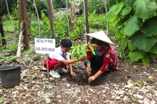 Ketua TP. PKK Rote Ndao Ny. Yanne Henuk-Pellokila menanam anakan pohon.