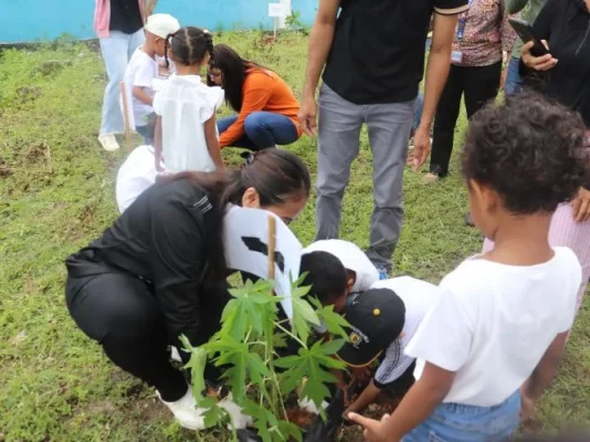 Wakil Bupati Apremoi D. Dethan melakukan penanaman penanaman bibit sayuran