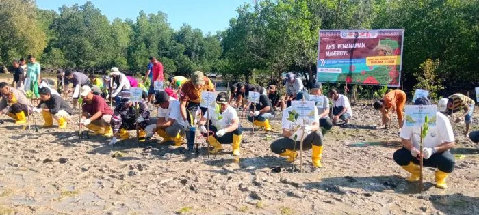 Dirjen Pengelolaan Kelautan KKP Ir. Koswara bersama Bupati Rote Ndao Paulus Henuk dan Forkompimda melakukan penanaman Mangrove.