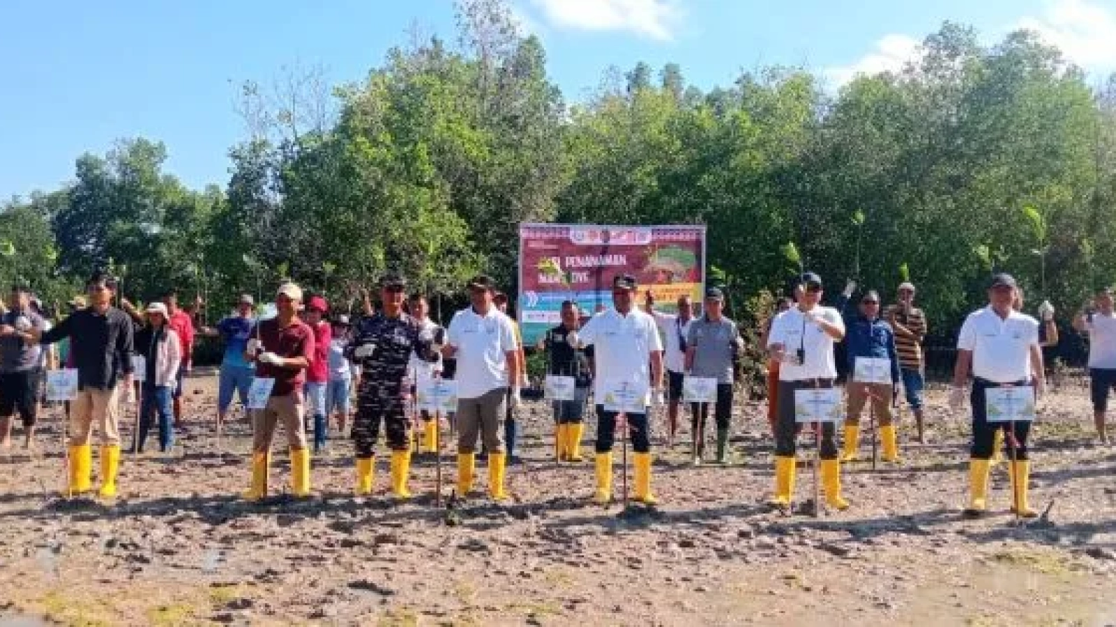 Pemkab Rote Ndao dan Kementerian Kelautan dan Perikanan menggelar Aksi Penanaman Mangrove pada Sabtu (15/08/2026) di Pantai Mangrove Baadale Kecamatan Lobalain.