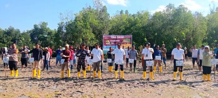 Pemkab Rote Ndao dan Kementerian Kelautan dan Perikanan menggelar Aksi Penanaman Mangrove pada Sabtu (15/08/2026) di Pantai Mangrove Baadale Kecamatan Lobalain.
