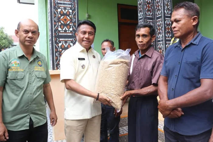 Pemerintah Kabupaten Rote Ndao menyerahkan bantuan Optimasi lahan (Oplah) ke lima puluh dua kelompok tani yang tersebar di delapan kecamatan di kabupaten Rote Ndao